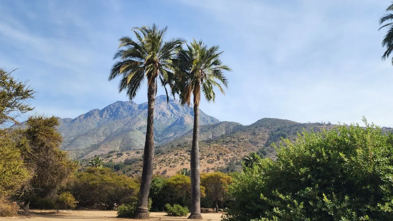 Tu proyecto no se evalúa sólo por lo que hace: también por lo que se ve