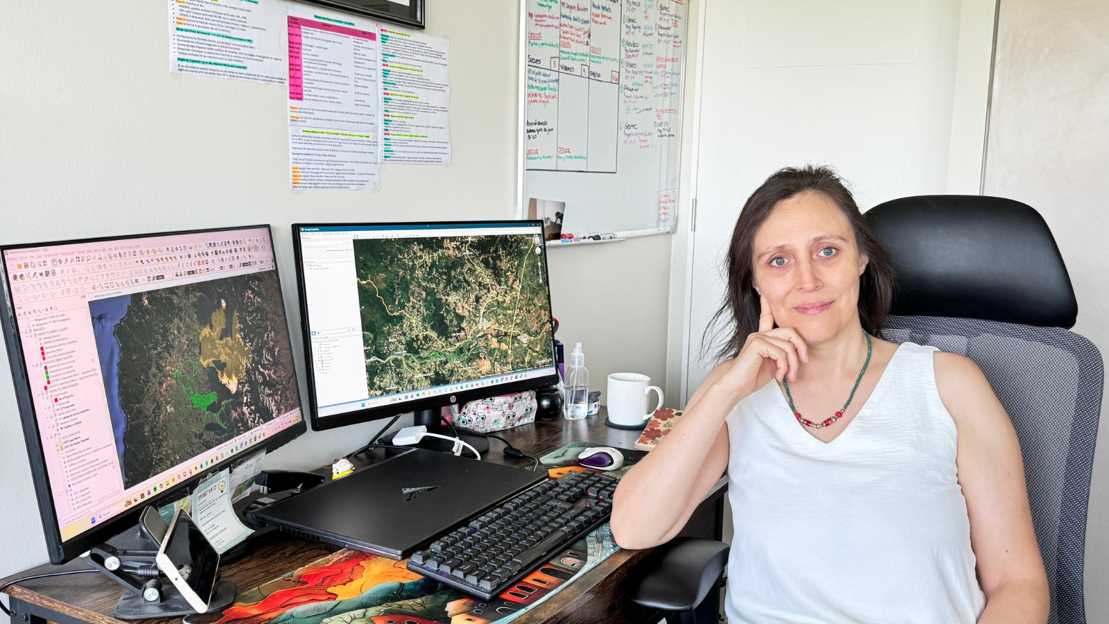 Andrea Kiessling - Directora en Geamsos.cl Consultoría Ambiental & Gestión Ambiental